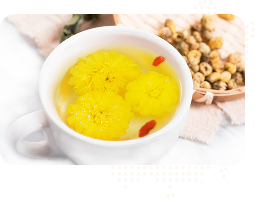 始建于2015年，實(shí)力雄厚